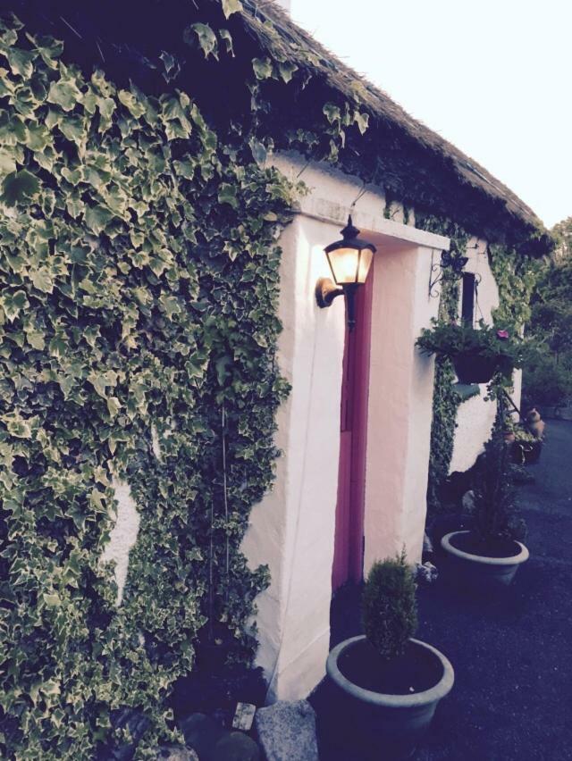 Teresas Cottage Ντόνεγκαλ Εξωτερικό φωτογραφία
